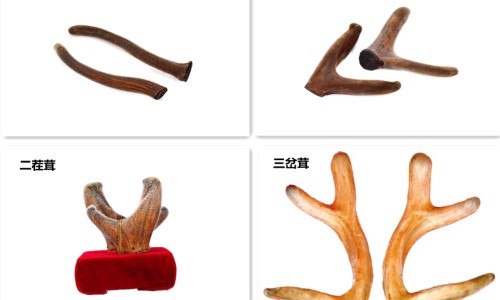 纳清片是真的吗-权威纳清片是正规药吗平台,分享专业纳清片知识_纳清的作用与功效网